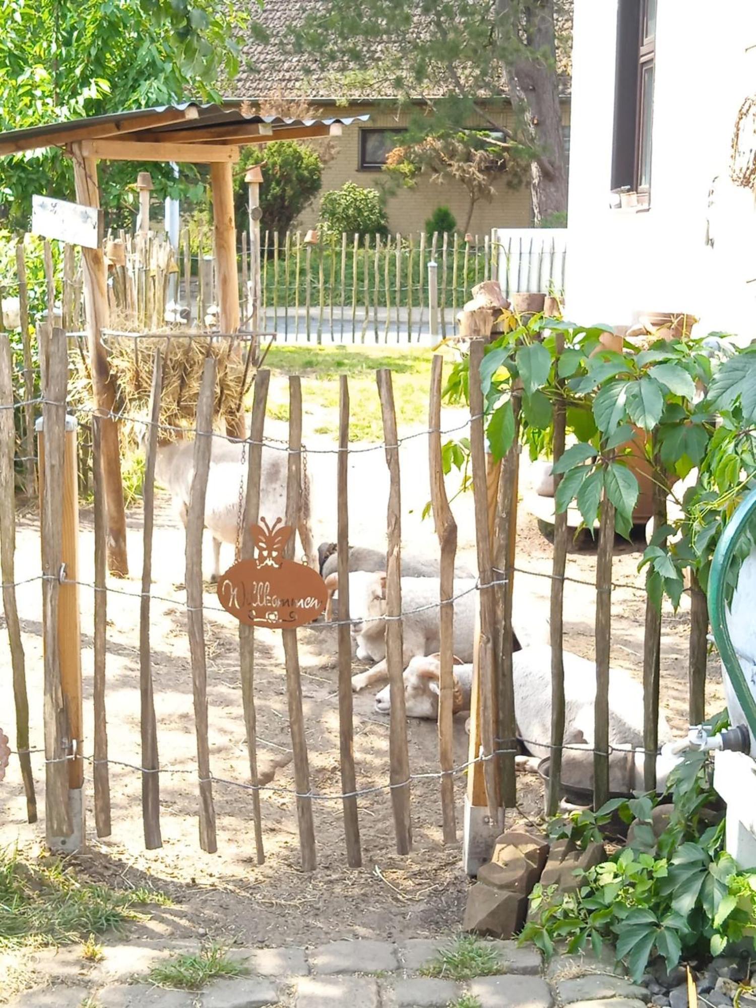Schaeferwagen Auf'M Minibauernhof In Munster Villa Ngoại thất bức ảnh